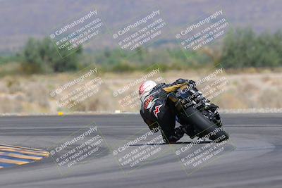 media/Oct-01-2023-SoCal Trackdays (Sun) [[4c570cc352]]/Turn 14 Backside (1120am)/